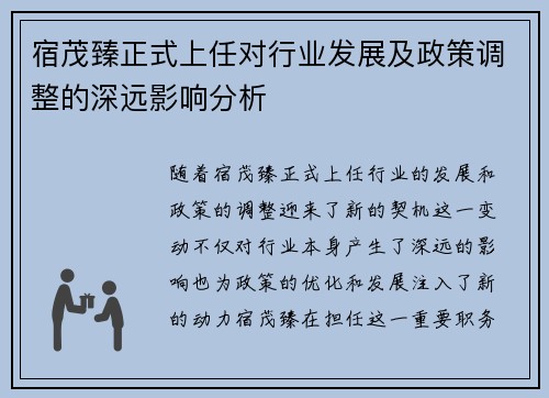 宿茂臻正式上任对行业发展及政策调整的深远影响分析