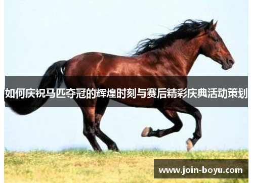 如何庆祝马匹夺冠的辉煌时刻与赛后精彩庆典活动策划
